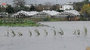 Crisi idrica a Salerno, da domani autobotti e imbustatrici d’acqua